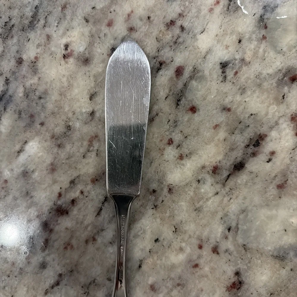 Oneida Twilight Stainless Steel Butter Knife Spreader 6 3/4